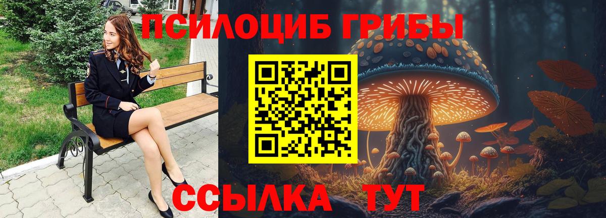Псилоцибиновые грибы Cubensis Ялуторовск